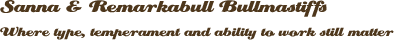 Sanna & Remarkabull Bullmastiffs