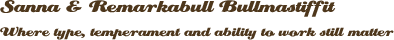 Sanna & Remarkabull Bullmastiffit