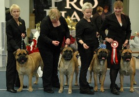 BIS1 Breeder's Group Tallinn INT 2.2009