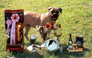 Sylvi BISS 2002