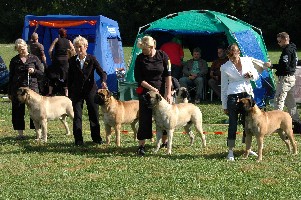 Speciality 2007