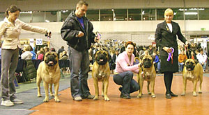 Lahti INT 22.04.2006 BOB Breeder