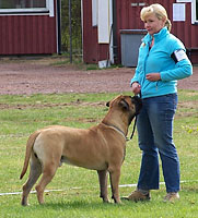 Saxon Harjavalta 13.5.06 