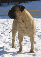 Aatos 2006