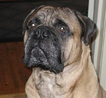 Aatos 5 yrs