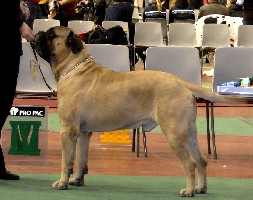 Aatos Lahti INT 4.2009
