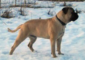 Aatos 11 mths