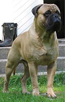 Aatos 15 mths