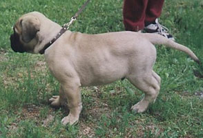 Aatos 3 months