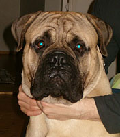 Aatos 11 months