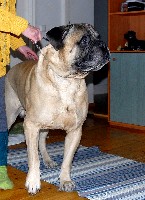 Aatos 01.2010