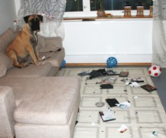 Ady - Mitään en oo tehnyt/It wasn't me... Ady - Mitään en oo tehnyt/It wasn't me...
