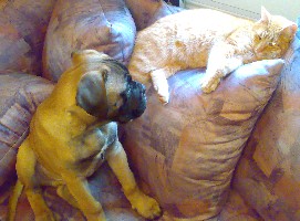 Andy with his friend Tiikeri