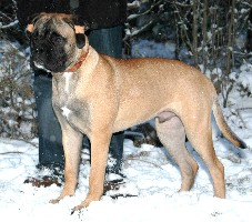 Andy 6 months