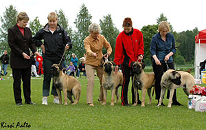BIS breeder 12.06.05