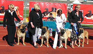 BIS2 breeder Est Winner - 07