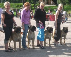 BIS1 Kasvattaja/Breeders
