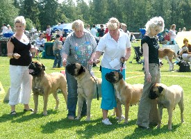 BOB Breeder's Group Lohja 6.2008