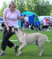 Brutus BOB puppy 2005