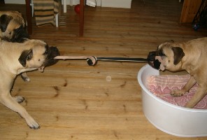 Tug of war