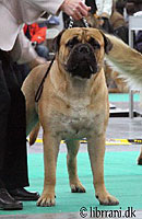 Porthos