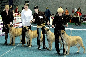 BIS1 Breeder's group Estonian Speciality 2.2008
