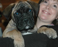 Gege 10 weeks
