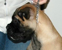gege 3 months