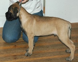gege 3 months