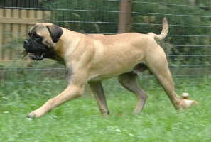 Gege 10 months