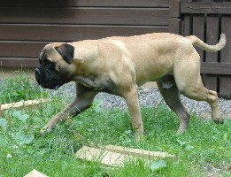 Gege 10 months