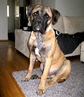 Gege 8 months