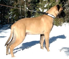 Gege 6 months