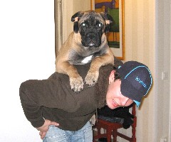 Gege 4 months
