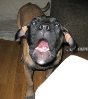 Gege 4 months