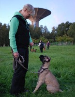 Giotto treeneiss&auml;/training
