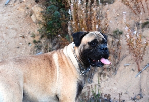 Giotto 15 kk/months Giotto 15 kk/months