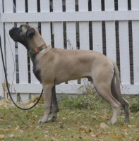 Giotto 6 kk/months