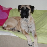 Hilma 11 kk/months