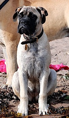 Hilma 4 kk/months