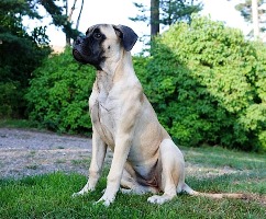 Hilma 5,5 kk/months