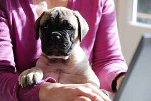 Hilma 7,5 viikkoa/weeks