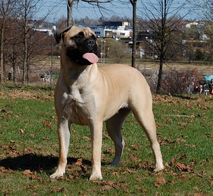 Hilma 14 kk/months