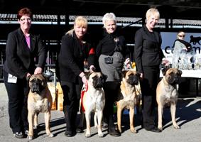 BIS1 Breeder Estonian Speciality 2011