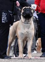 Remo 14 kk/months Remo 14 kk/months