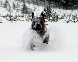 Lola 01.2011 Lola 01.2011