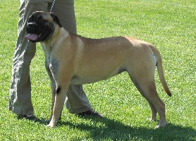 Lola 6.2008