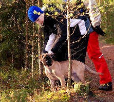 1st search training