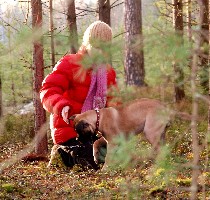 Lola 1st search