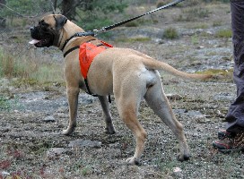 Lola 040808